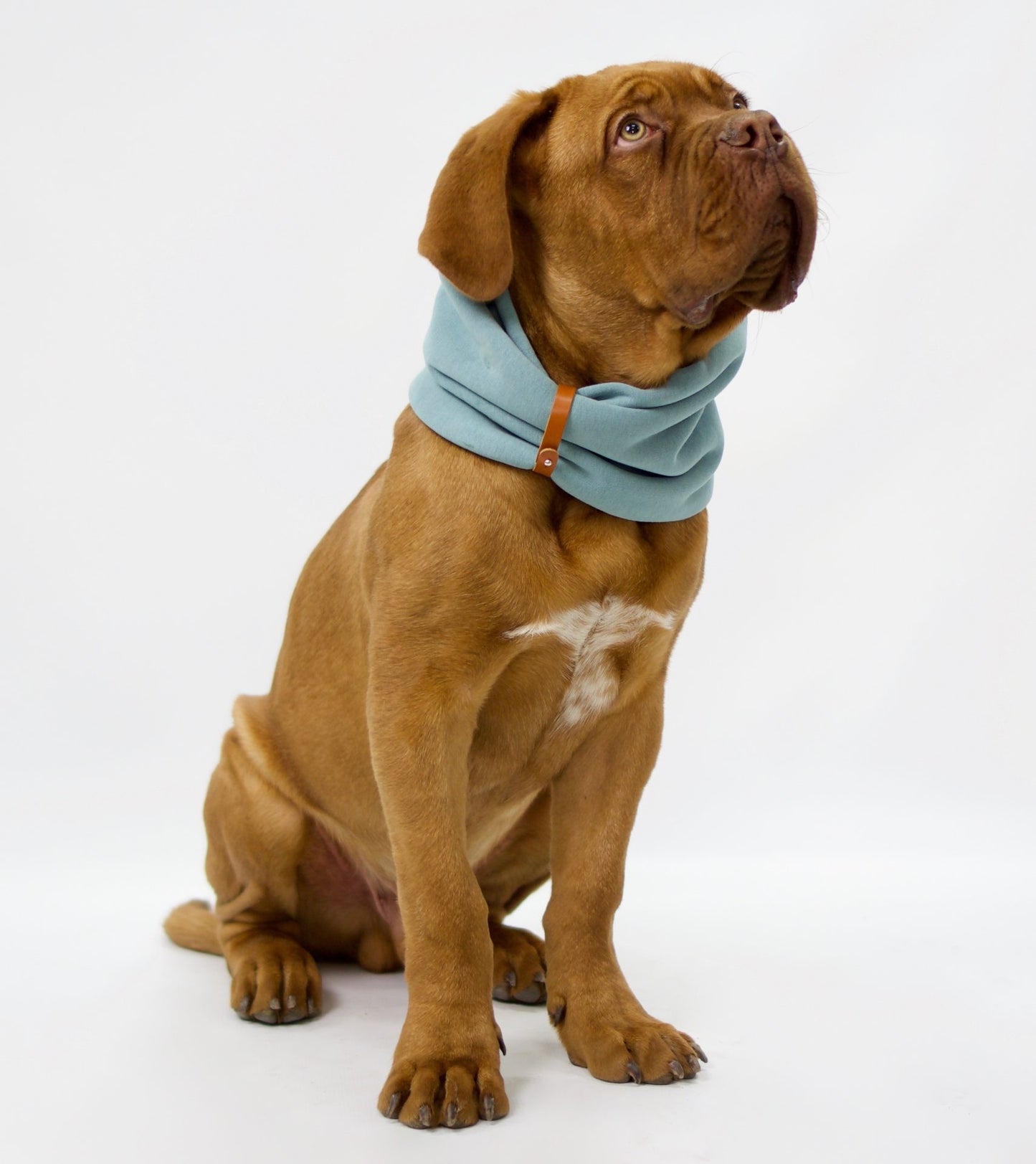 Inko Neck Warmer - Turquoise