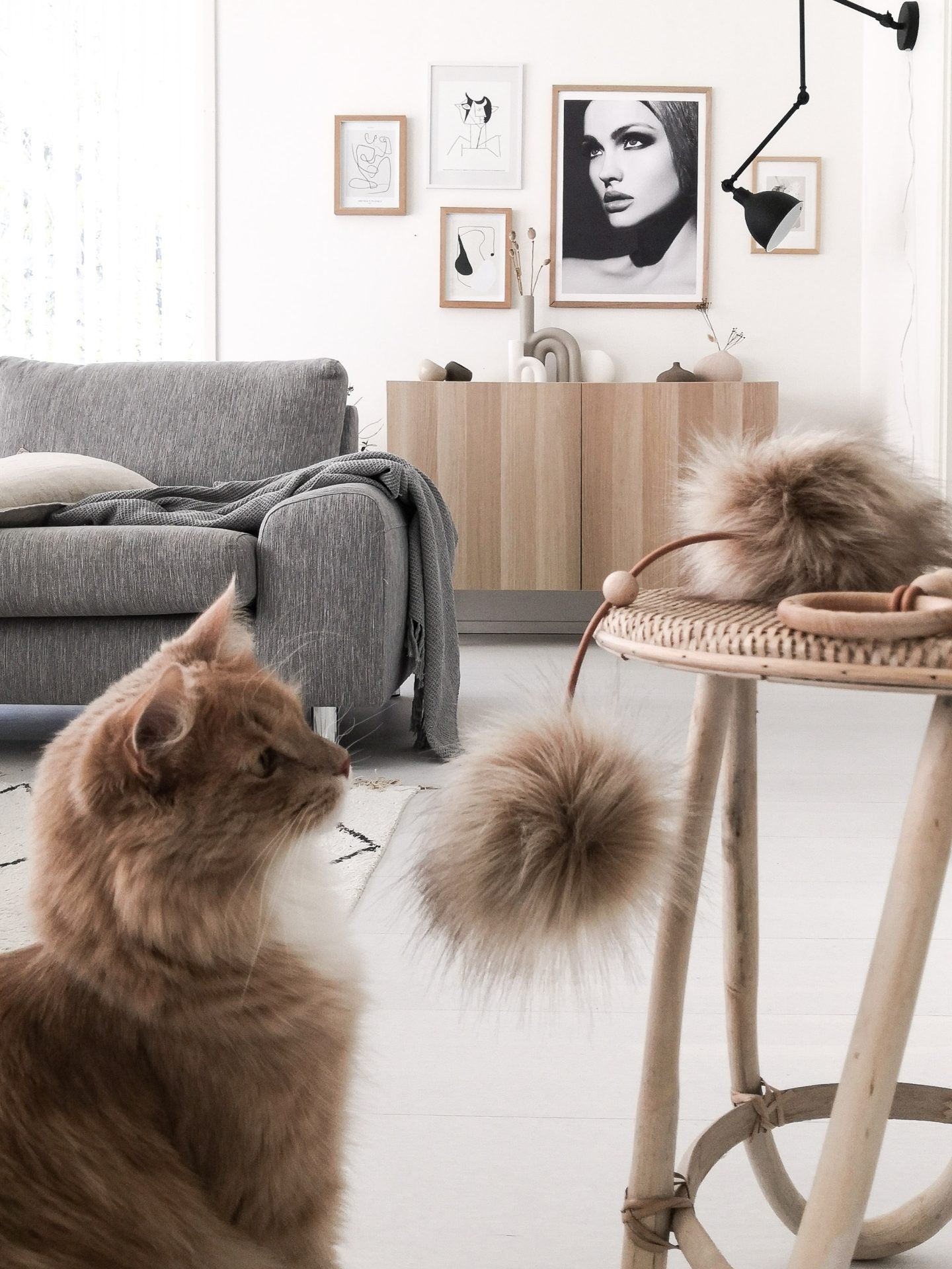 Tollo Cat Toy - Cappuccino